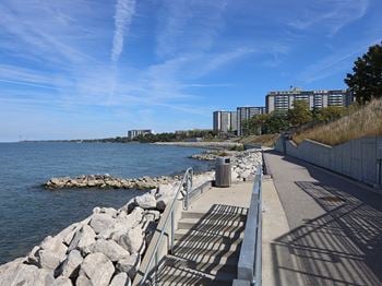 Direct beach and lake erie access